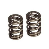 engine-valve-spring-250x250-1